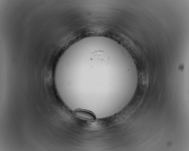 X0000101680564200807241348