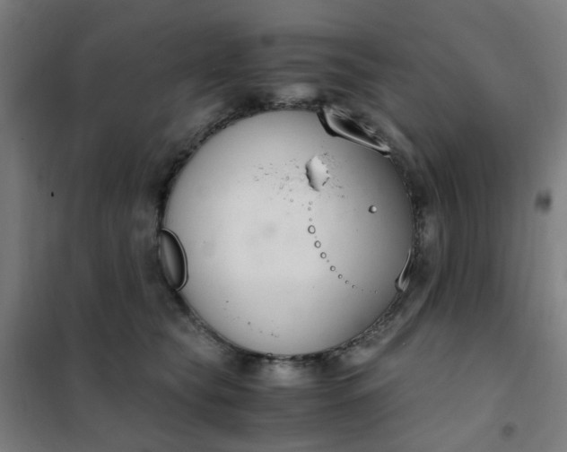 X0000101680565200807241348