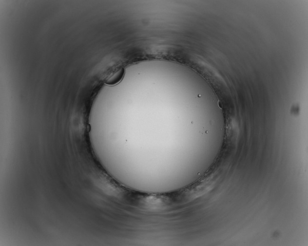 X0000101680566200807241348