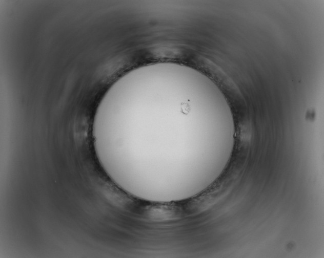 X0000101680567200807241348