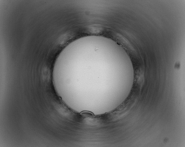 X0000101680568200807241348