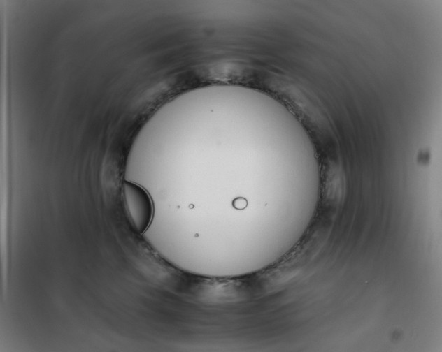 X0000101680569200807241348