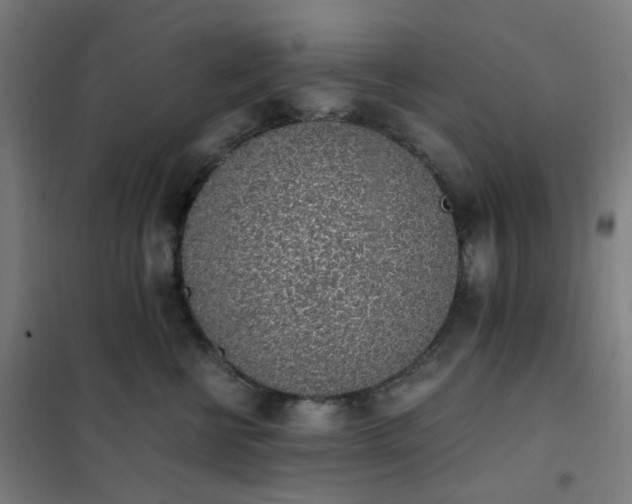 X0000101680570200807241348