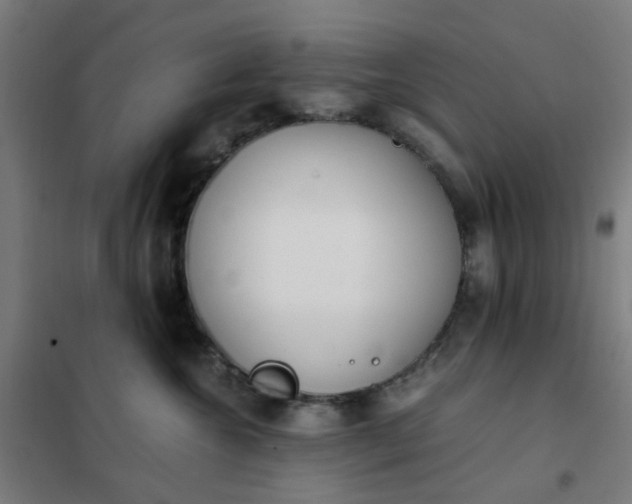 X0000101680572200807241348