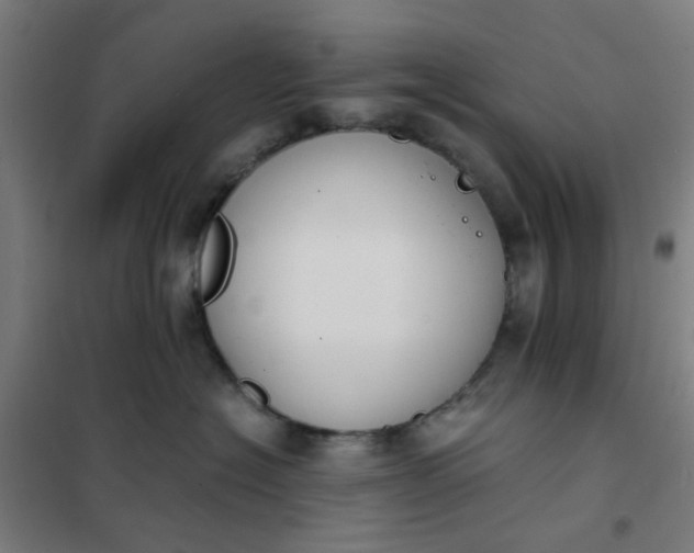 X0000101680574200807241349