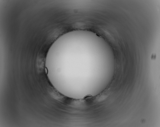 X0000101680576200807241349