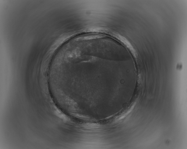 X0000101680577200807241348