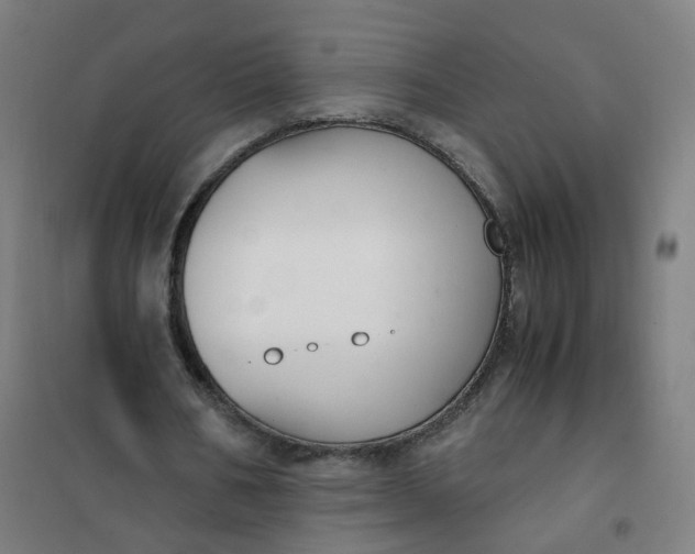 X0000101680578200807241348