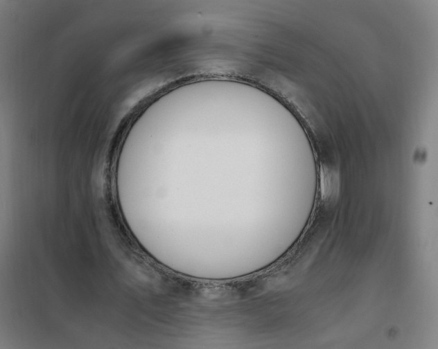 X0000101680579200807241348