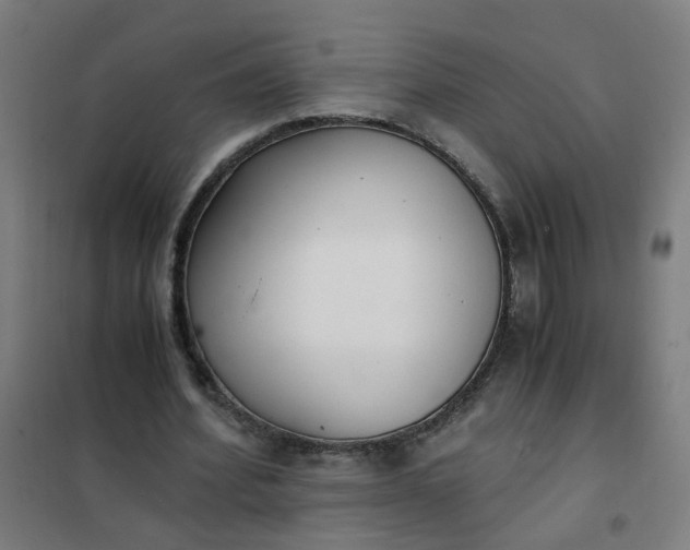 X0000101680580200807241348