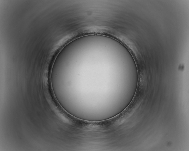 X0000101680581200807241348