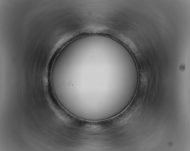 X0000101680582200807241348