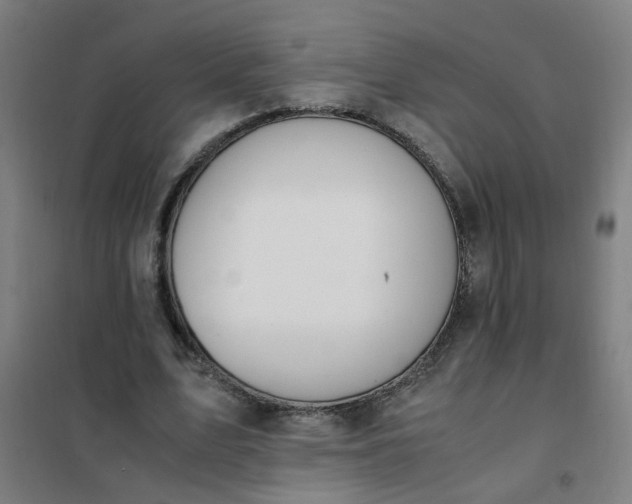 X0000101680583200807241348