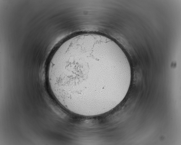 X0000101680584200807241348