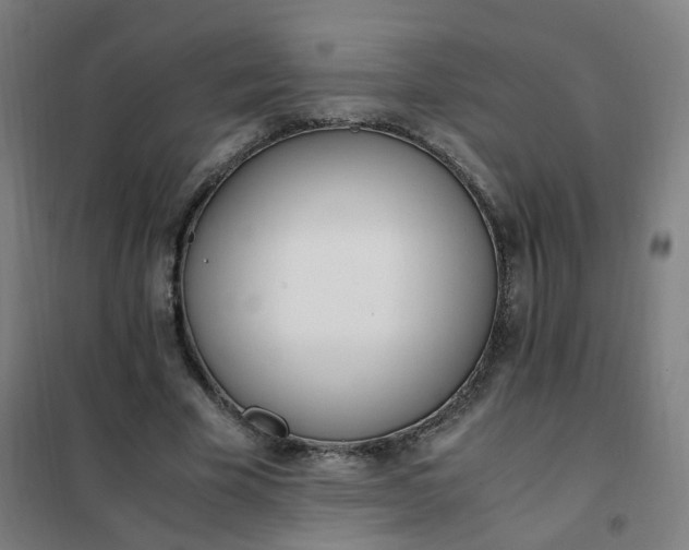 X0000101680585200807241348