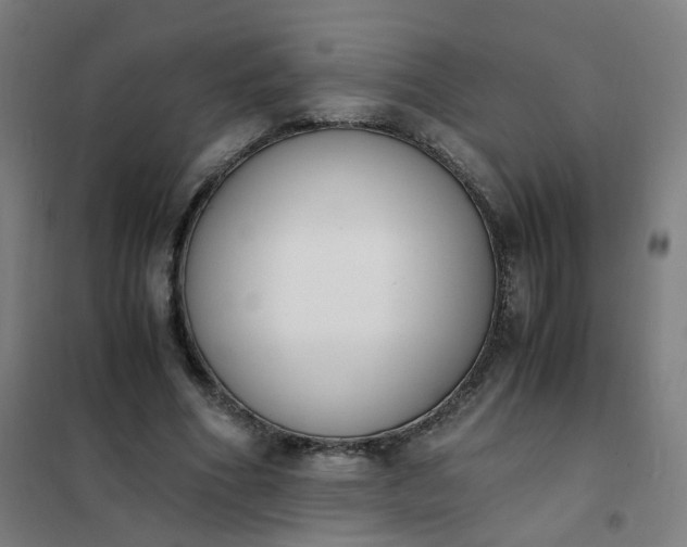 X0000101680586200807241348