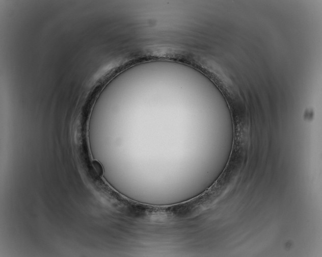 X0000101680587200807241348