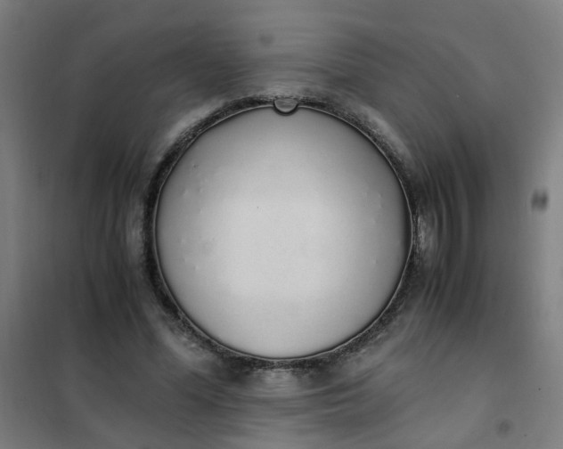 X0000101680588200807241348