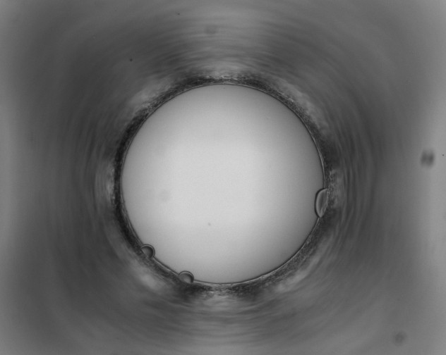 X0000101680589200807241348