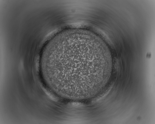 X0000101680590200807241348