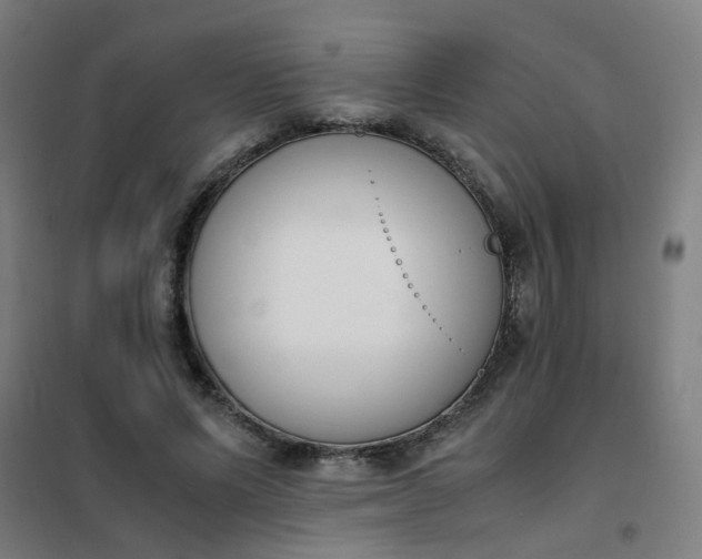 X0000101680591200807241348