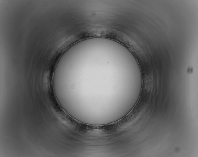 X0000101680594200807241348