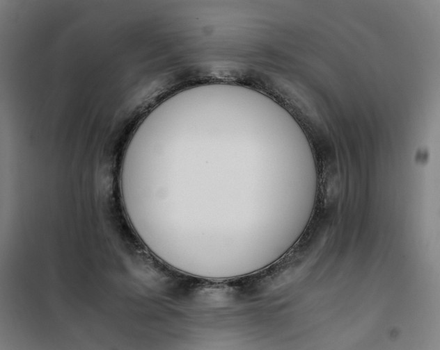 X0000101680595200807241348