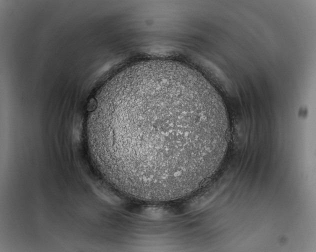 X0000101680596200807241348