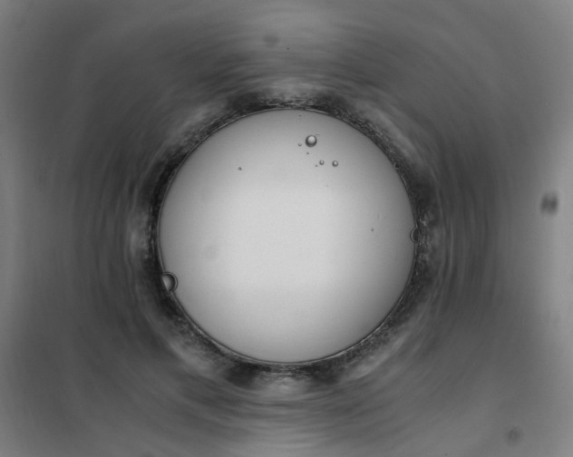 X0000101680597200807241348