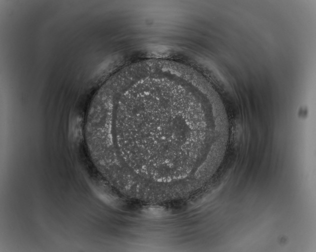 X0000101680598200807241348