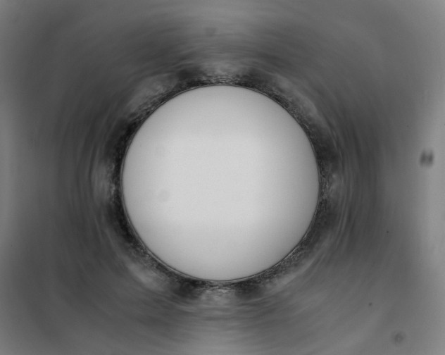 X0000101680599200807241348