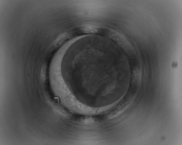 X0000101680600200807241348