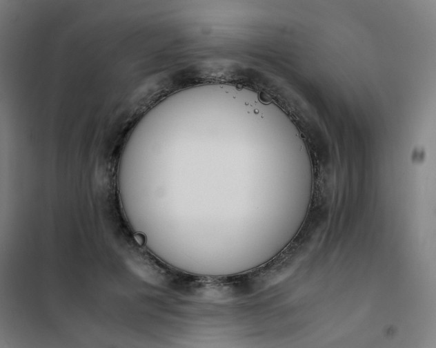 X0000101680601200807241348