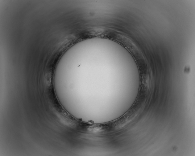 X0000101680602200807241348