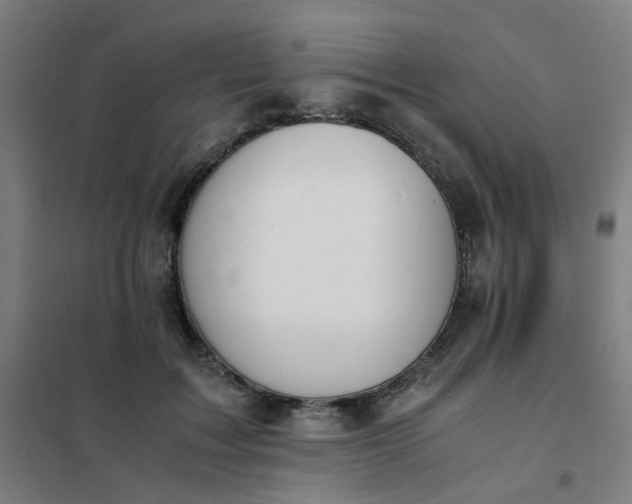 X0000101680603200807241348