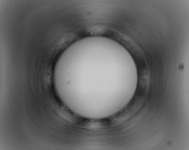 X0000101680604200807241348