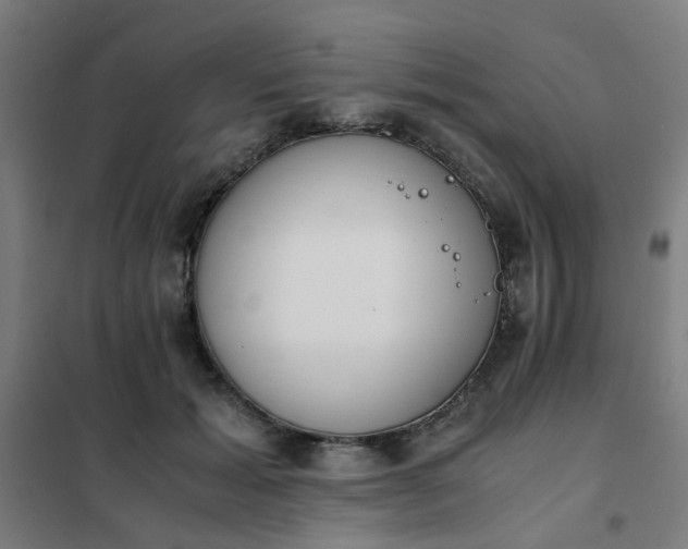 X0000101680605200807241347