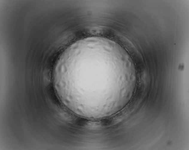 X0000101680606200807241347