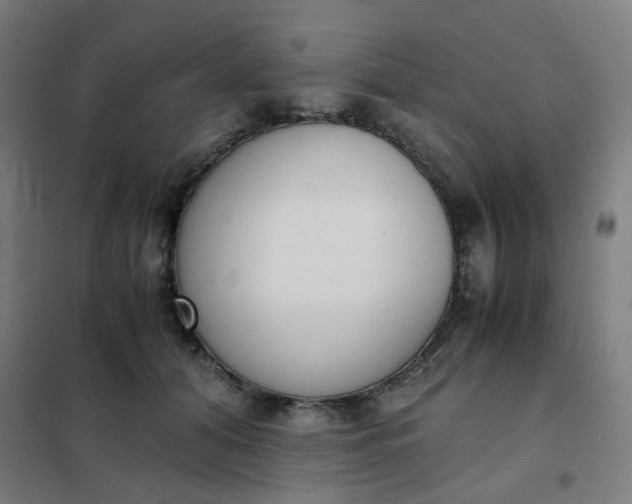 X0000101680608200807241347