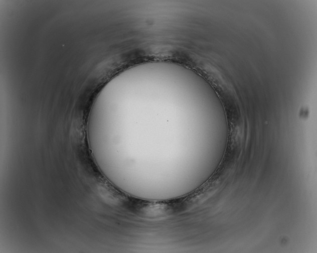 X0000101680609200807241347