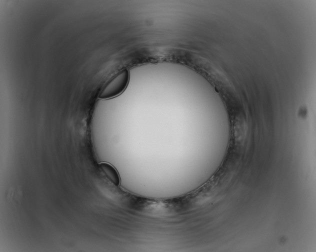 X0000101680611200807241347