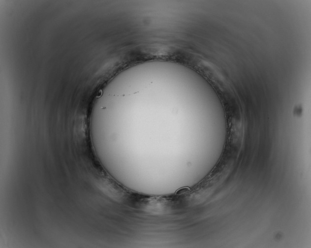 X0000101680612200807241347