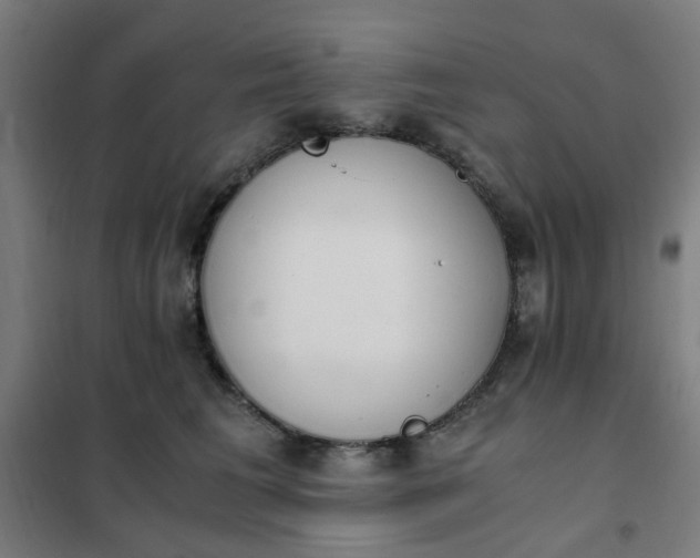 X0000101680613200807241347