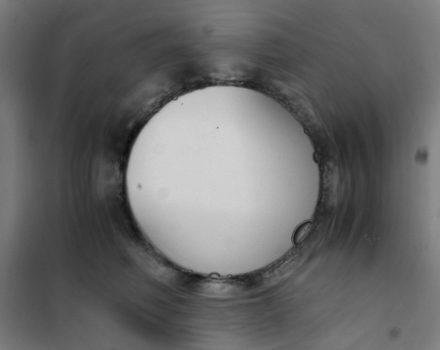 X0000101680614200807241347