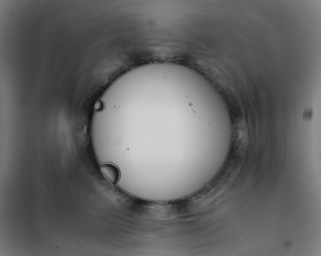 X0000101680615200807241347