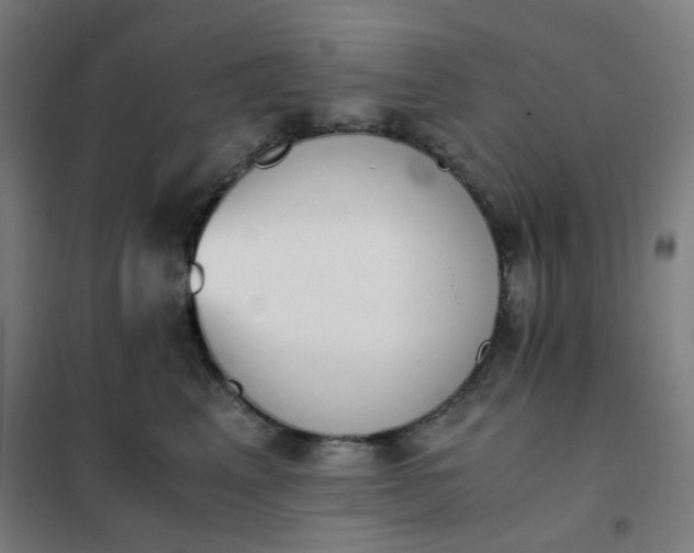 X0000101680617200807241347