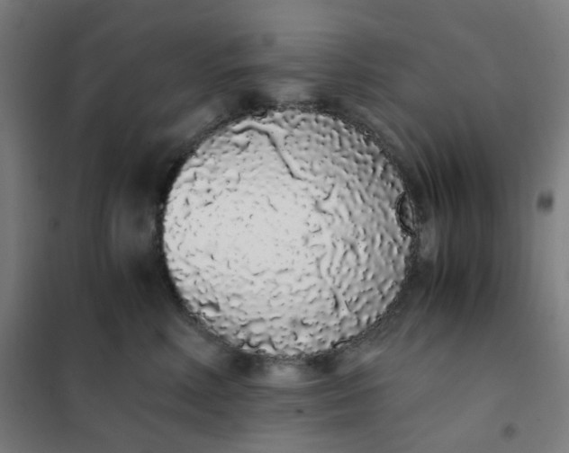 X0000101680618200807241347