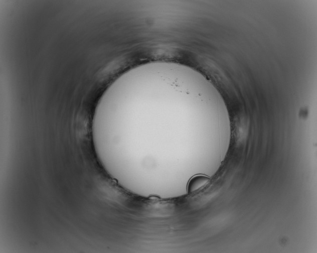 X0000101680619200807241347