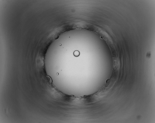 X0000101680621200807241347