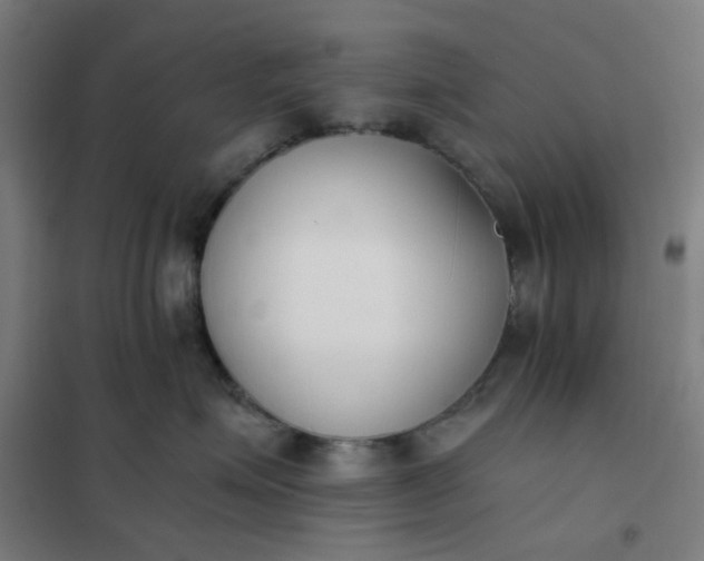 X0000101680623200807241347